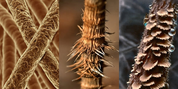 Stylen met zorg voor je haar