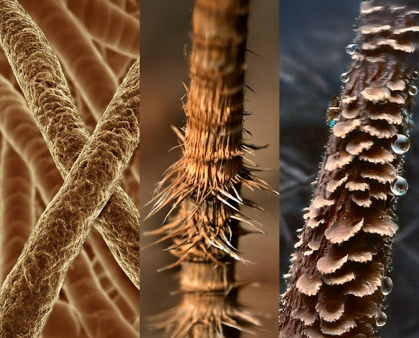 Veilig stylen met zorg voor je haar